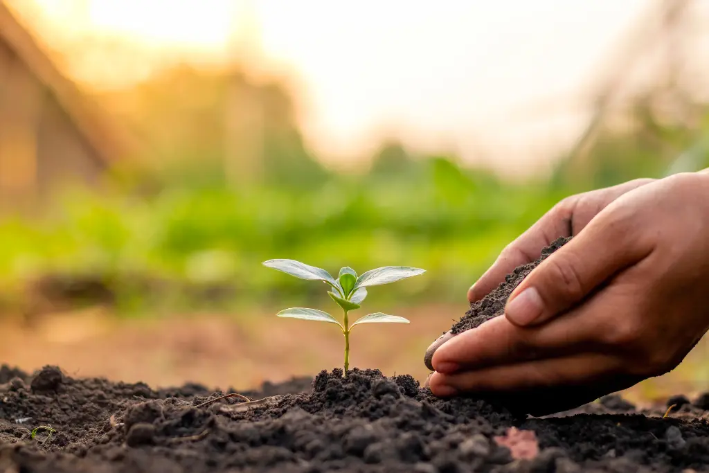 Nuôi dưỡng thiện lành